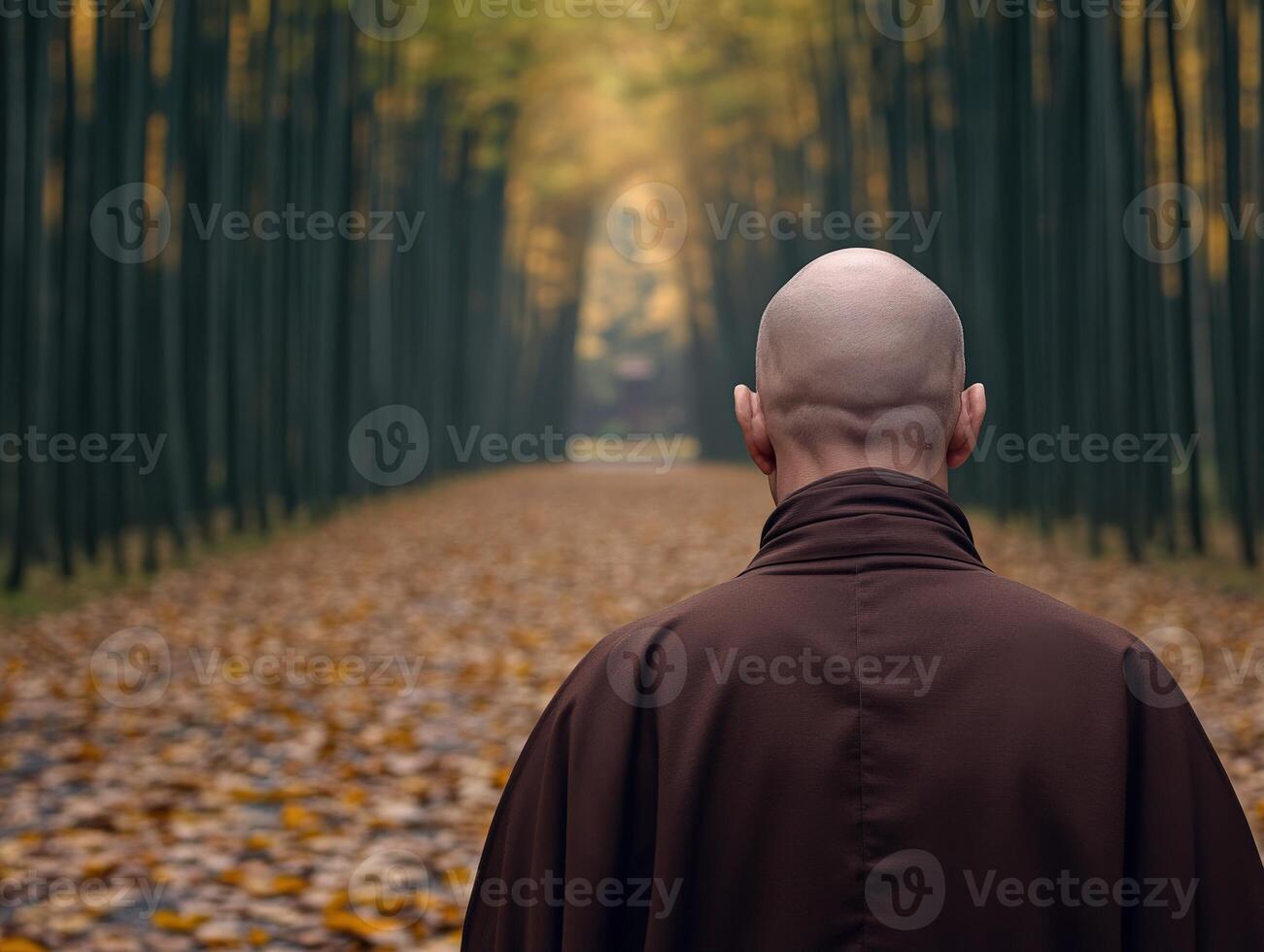 A peaceful monk walking through a tranquil autumn forest path photo