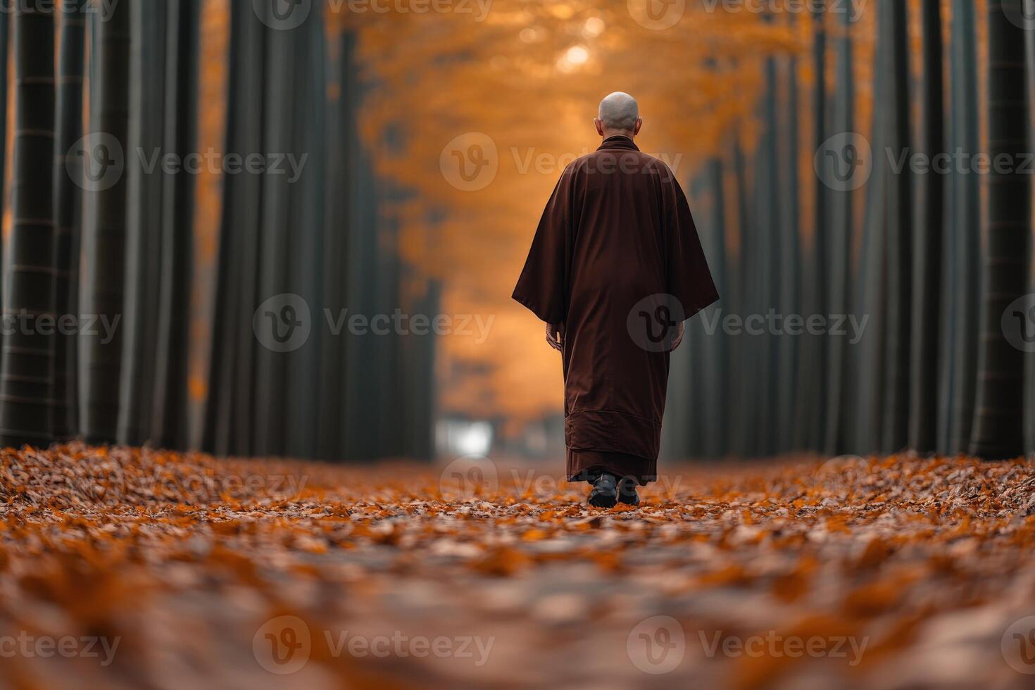 A monk walking through a serene bamboo grove during autumn photo