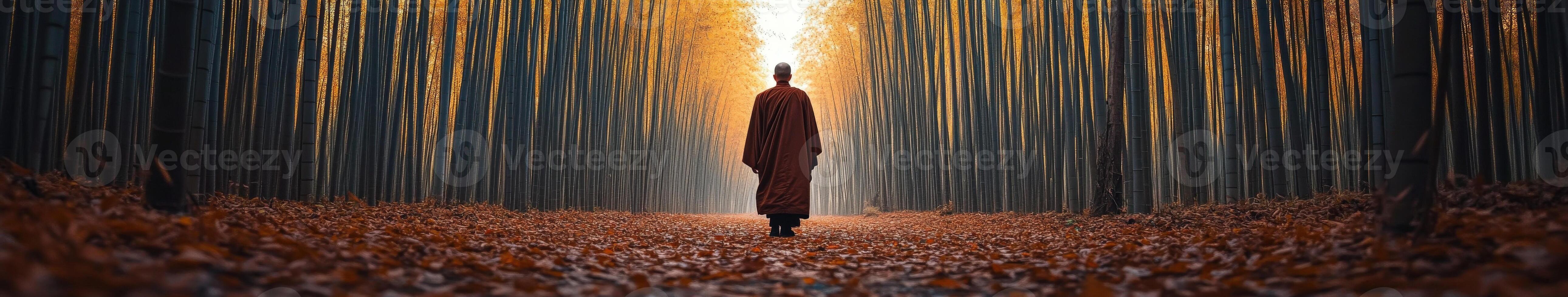 Monk walking through a tranquil bamboo forest during autumn sunlight photo