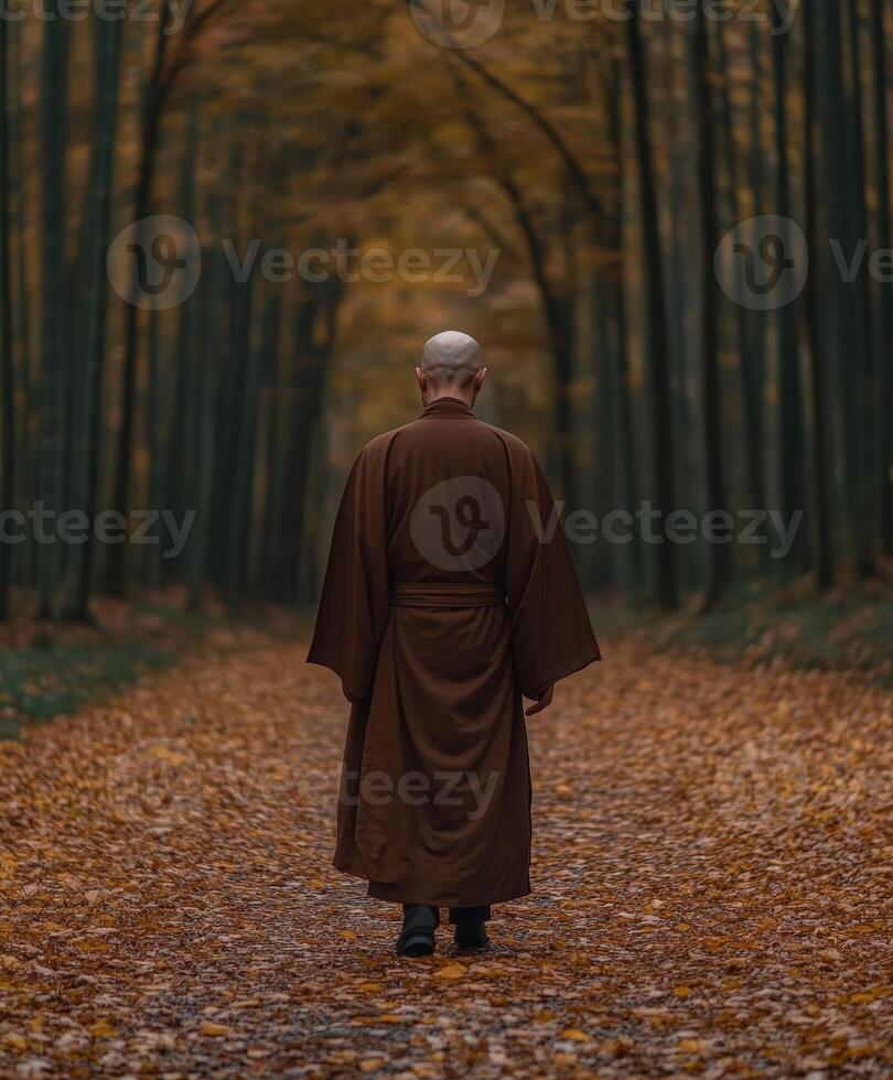 A monk walking alone on a leaf-covered path in a serene forest photo