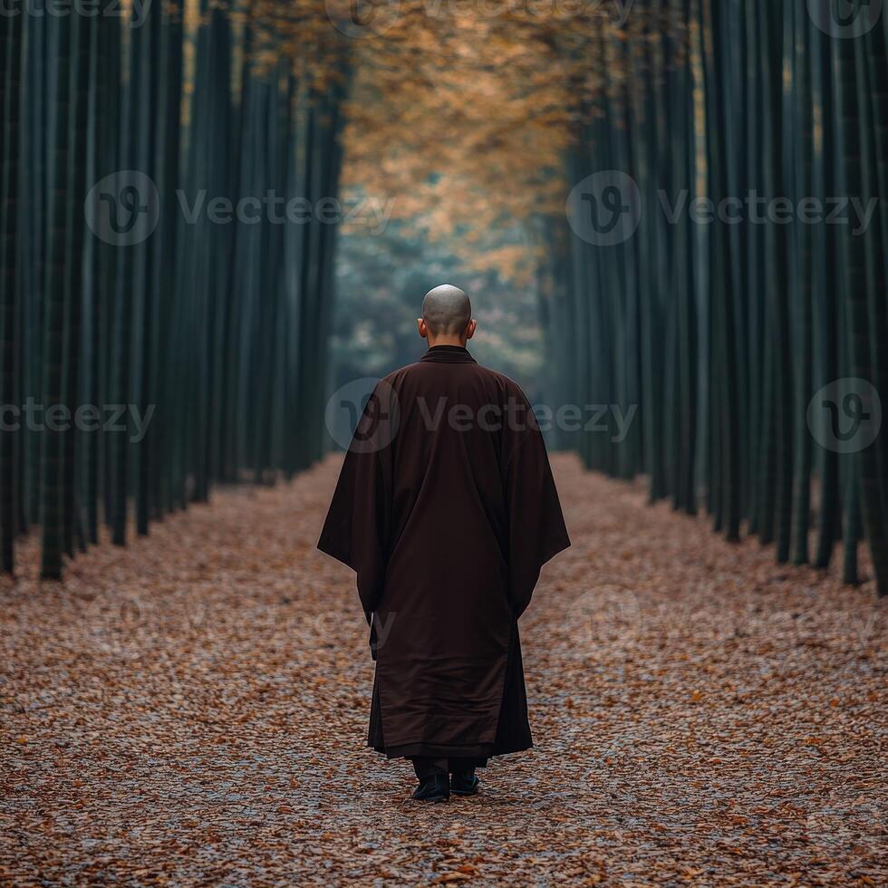 Monk walking through autumn woods in a serene bamboo grove photo