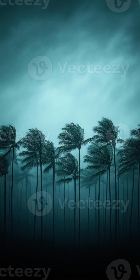 Hurricane winds whip through palm trees under a darkened sky photo
