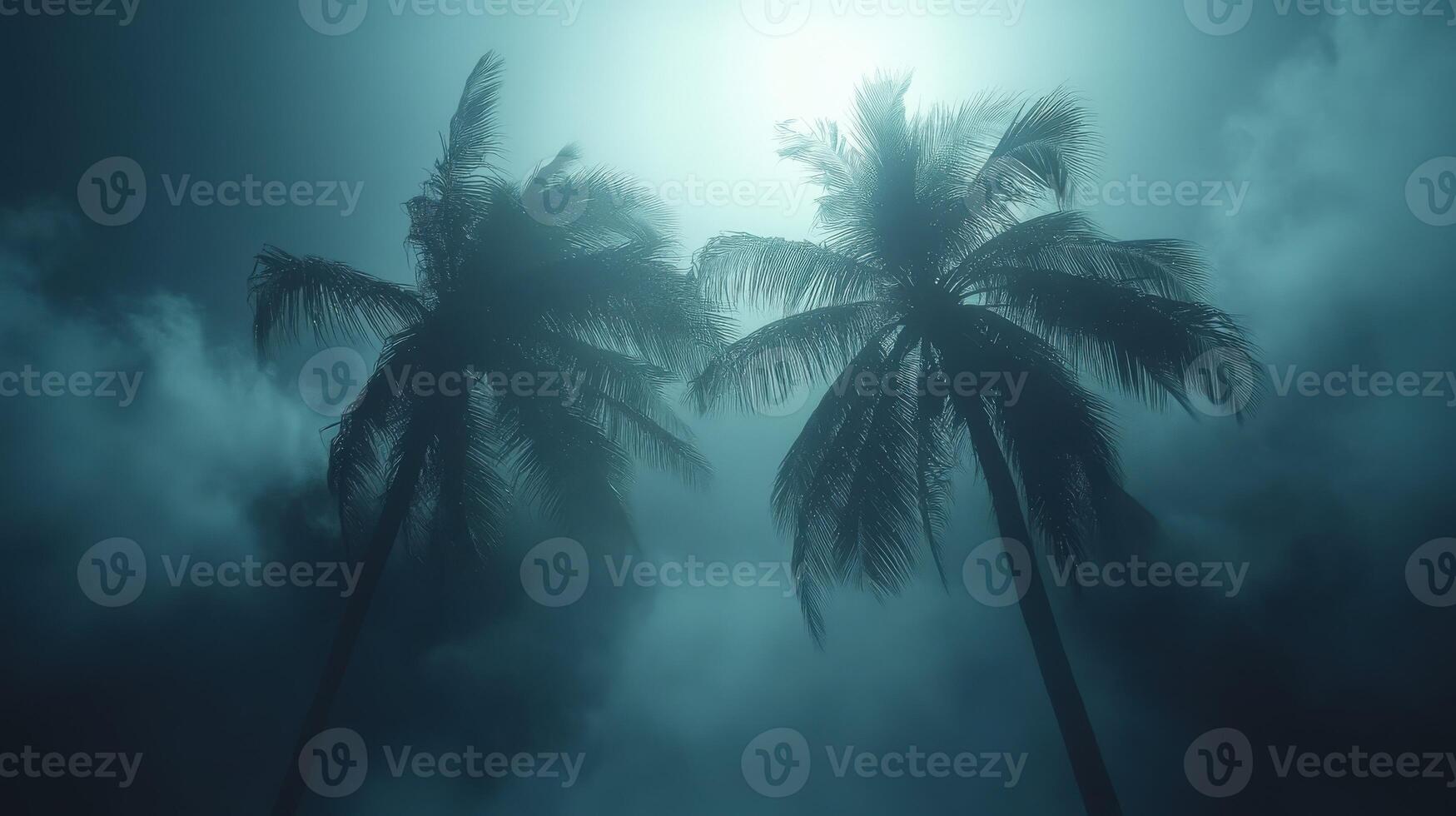 Palm trees swaying in strong winds during a hurricane at dusk photo