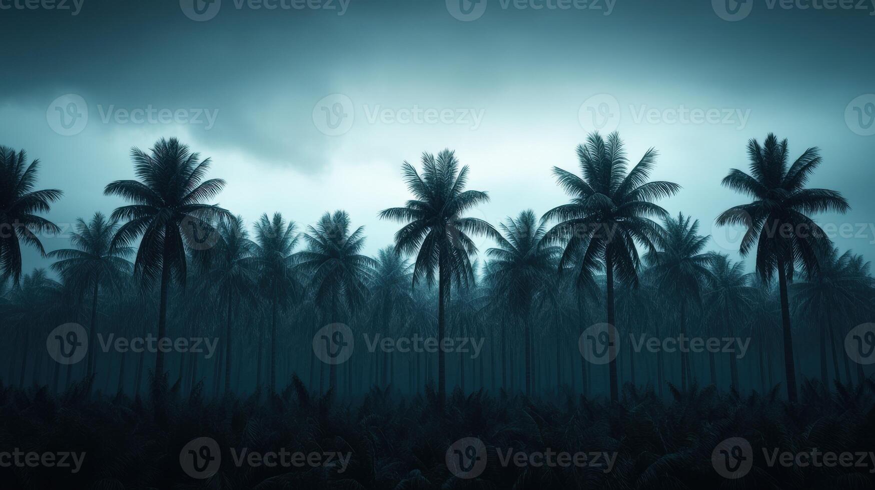 Storm clouds loom over a palm tree landscape before a hurricane hits photo