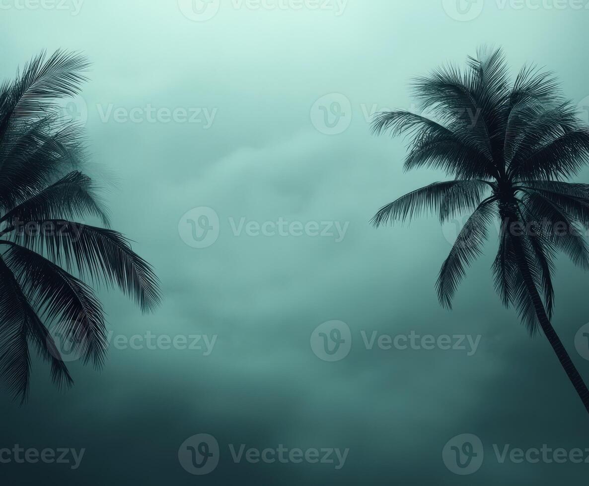 Dark, ominous clouds overshadow palm trees during hurricane season photo