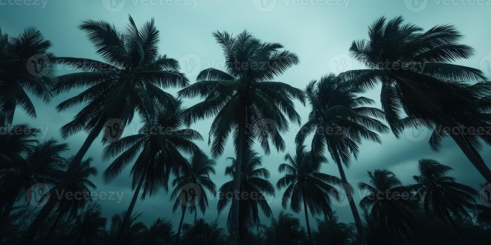 Dark palm trees swaying in the wind during a hurricane at twilight photo