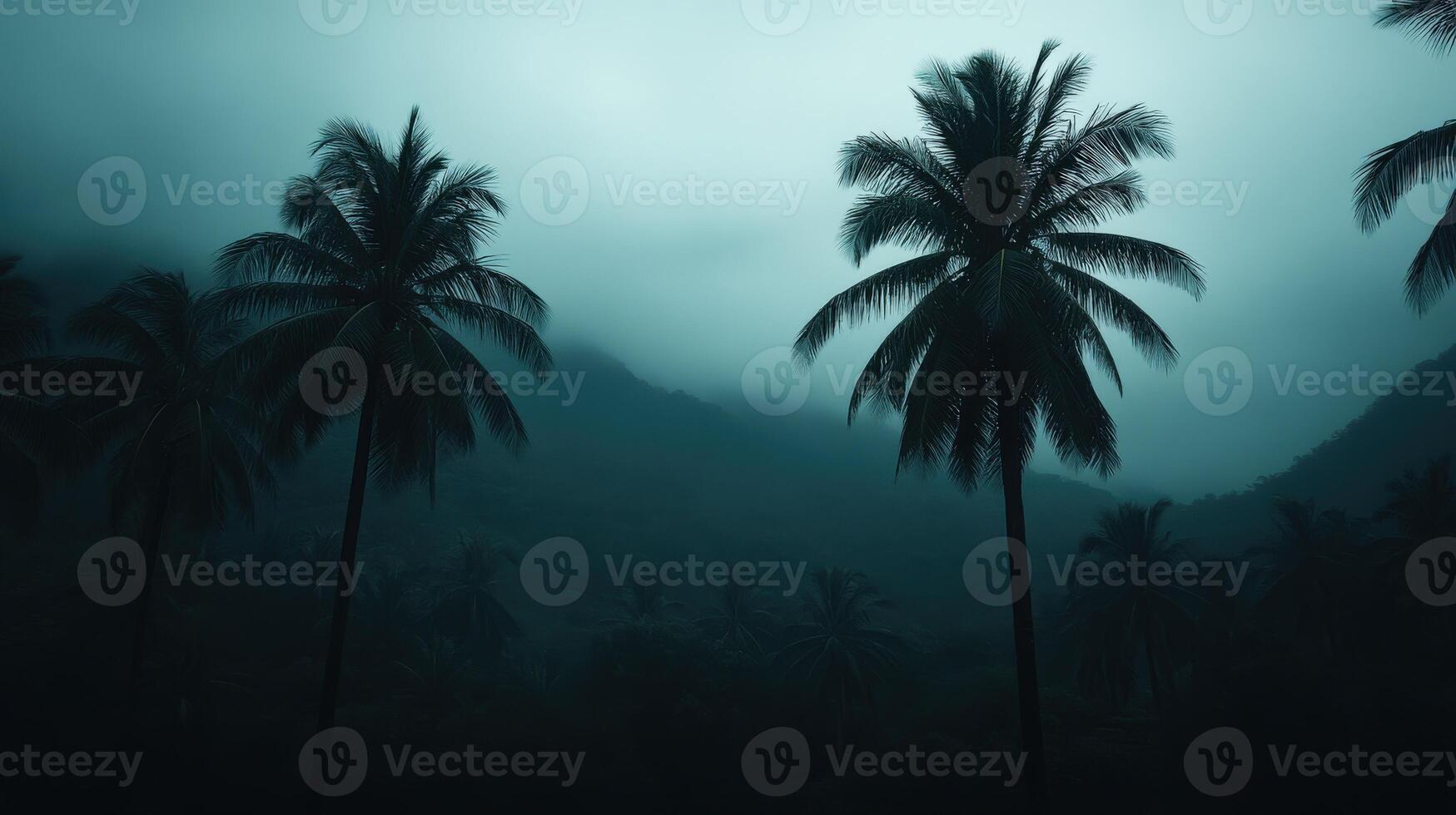 Darkened landscape with palm trees during a hurricane in a tropical region photo
