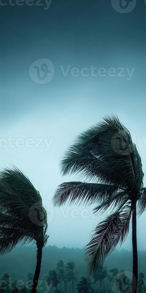 Hurricane winds batter coastal palm trees photo