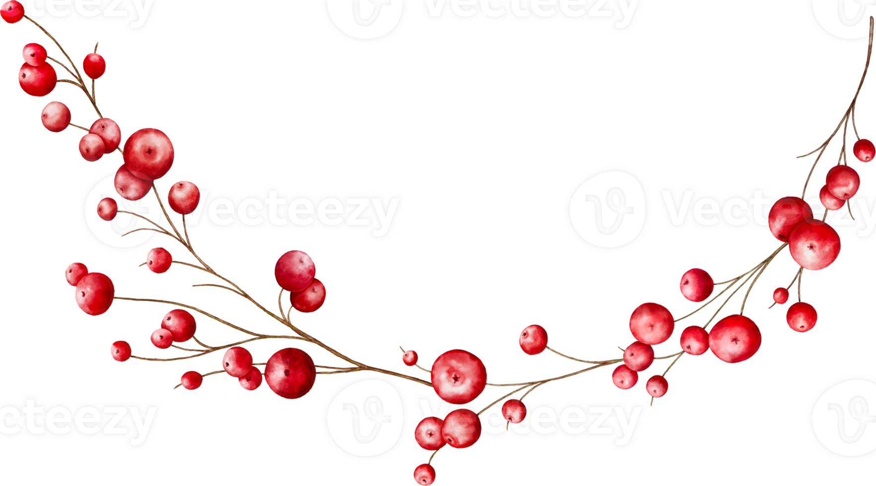 Christmas watercolor bouquet with red berries png