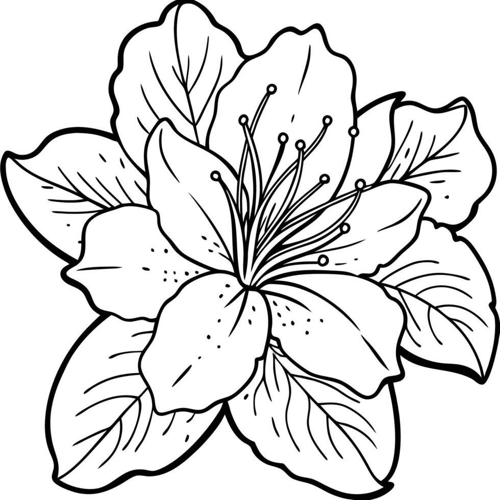 Pure Azalea Elegance vector