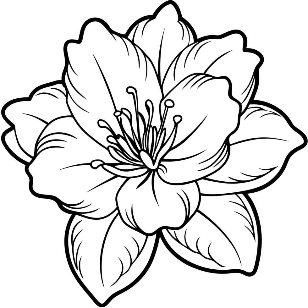 Azalea Flower Portrait vector