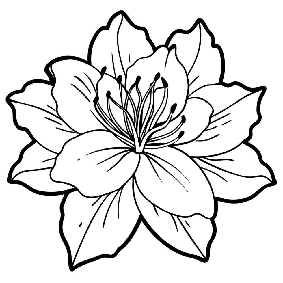 Soft Azalea Petals vector