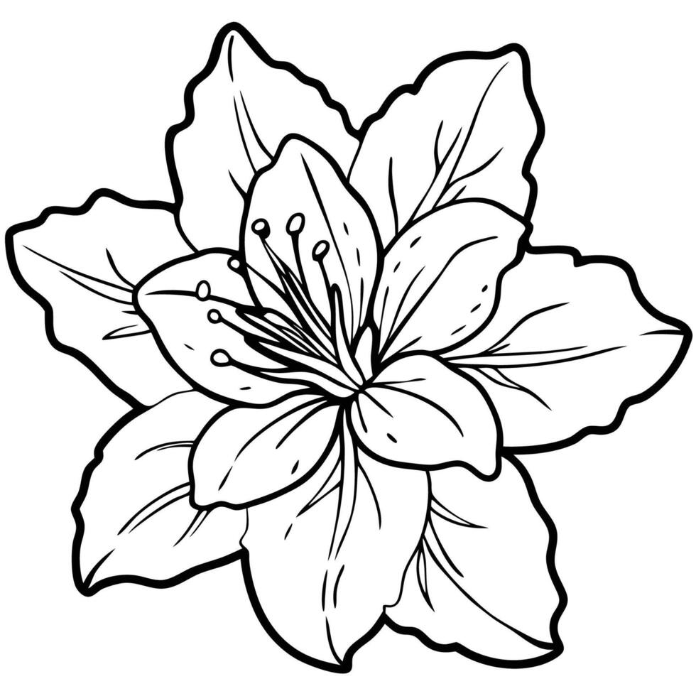 Azalea in Full Bloom vector