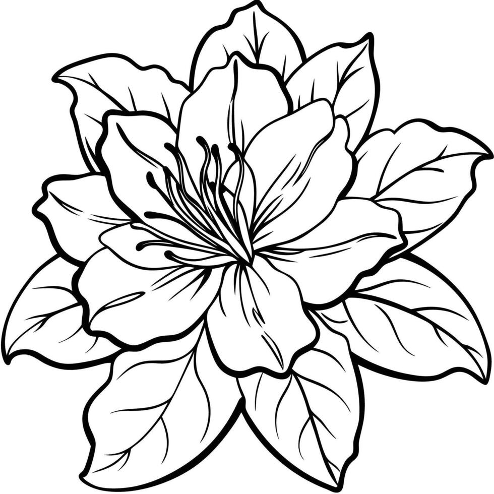 Azalea Blossom on White vector