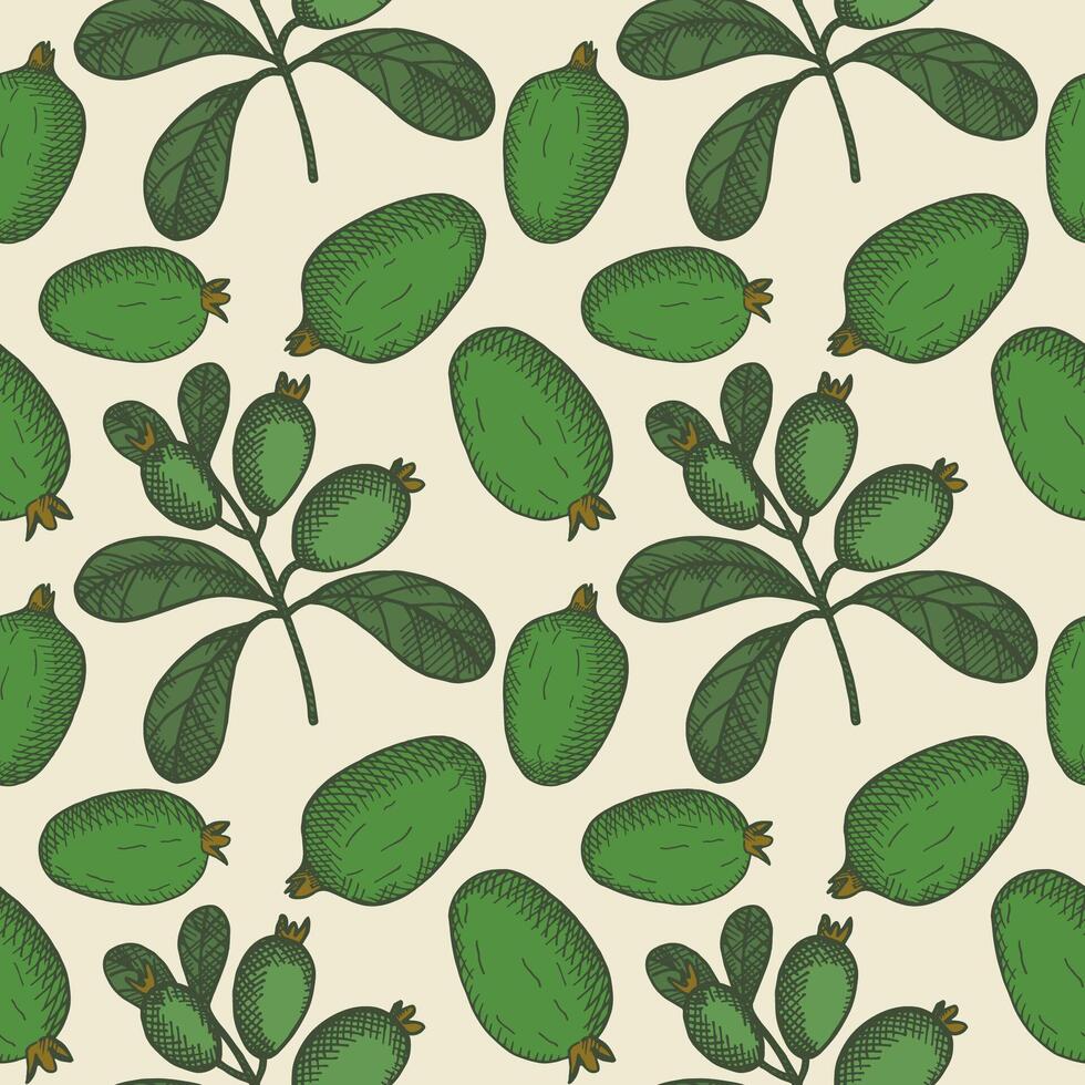 Engraved seamless pattern with Feijoa plants. Hand drawn repeating background with branch and fruits of tropical berry edible feijoa. Food, dessert. Design element for label, wrapping, card vector