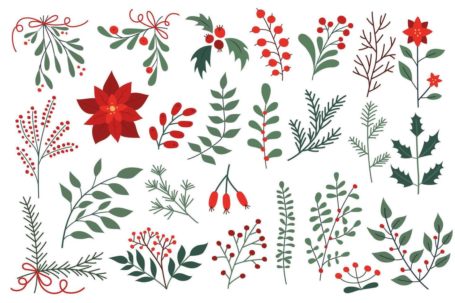 Christmas themed botanical elements with poinsettias, holly, mistletoe, evergreen branches, and red berries vector