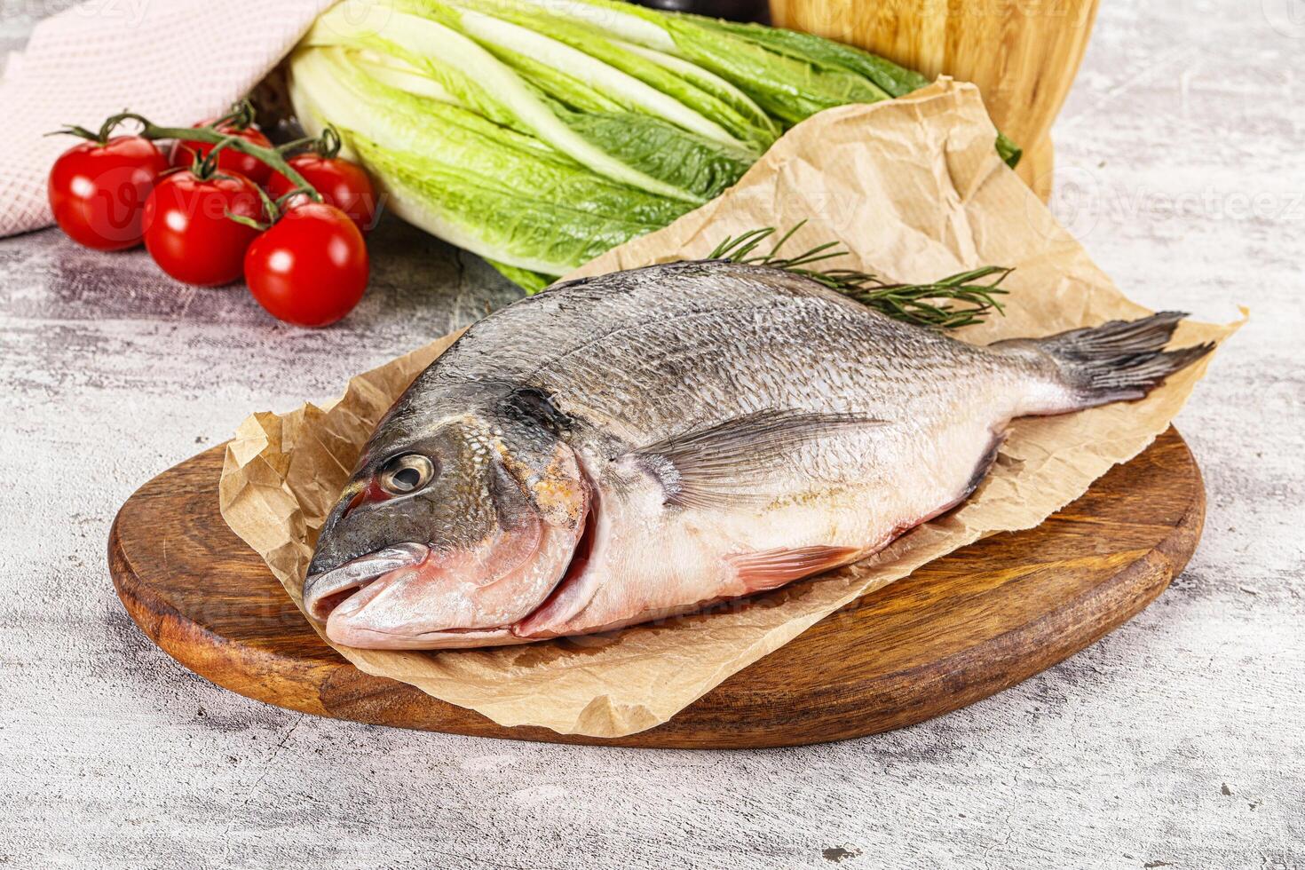 Raw dorada fish served rosemary photo