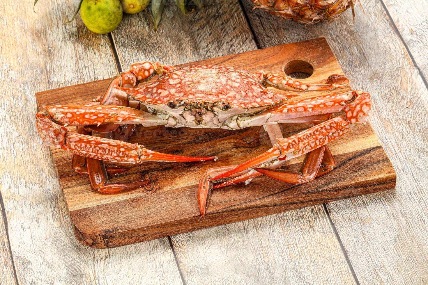 Seafood cuisine -delicous steamed crabs photo