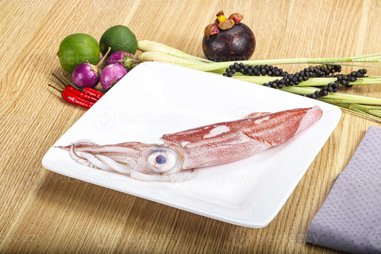Raw fresh squid for cooking photo