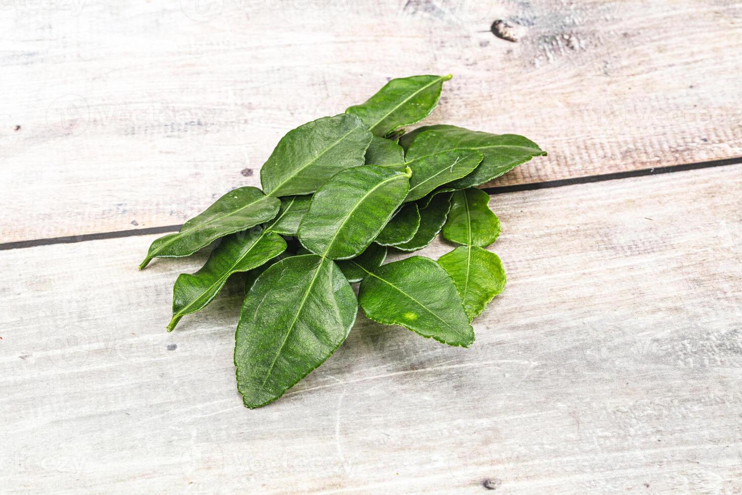 Thai cuisine - Kaffir lime leaves photo
