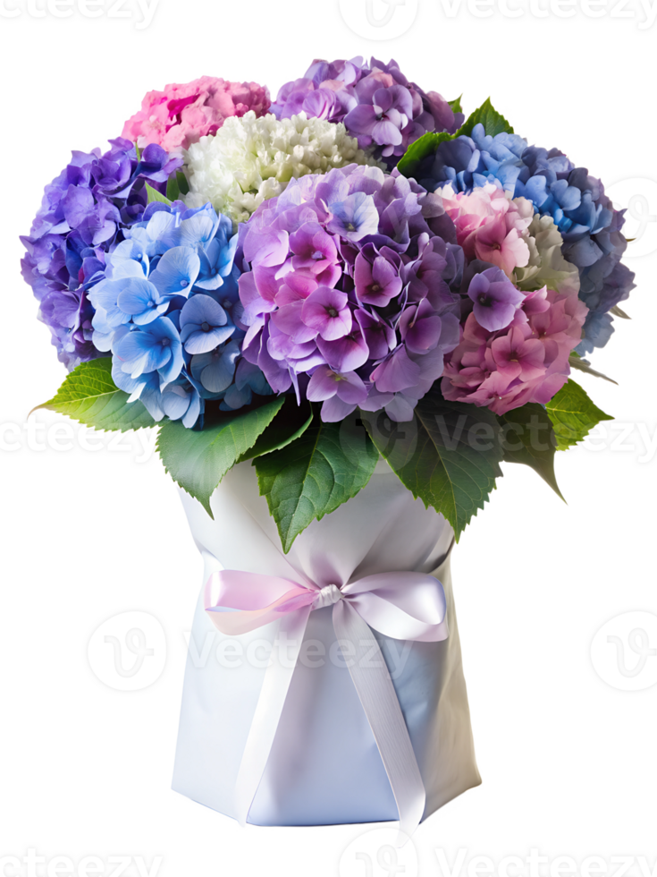 a colors full bouquet of Hydrangea flower in a white package isolated on transparent background png
