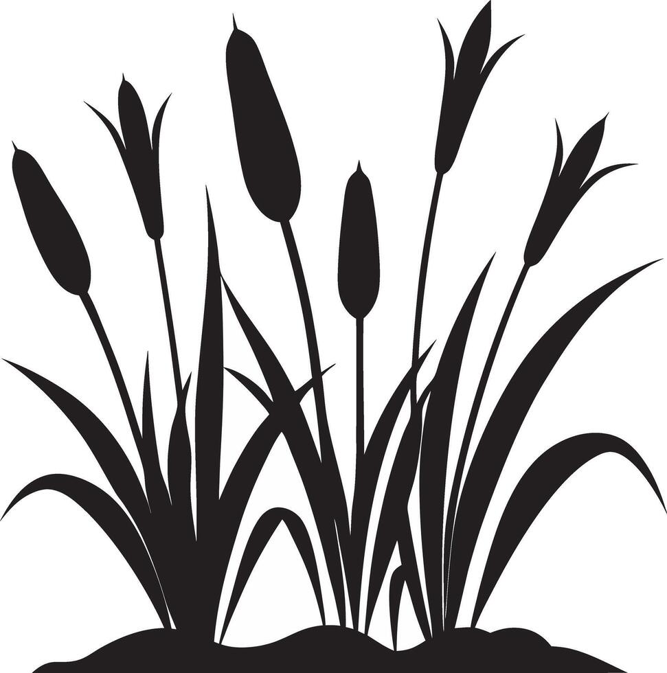 silhouette of grass and reeds on a white background vector