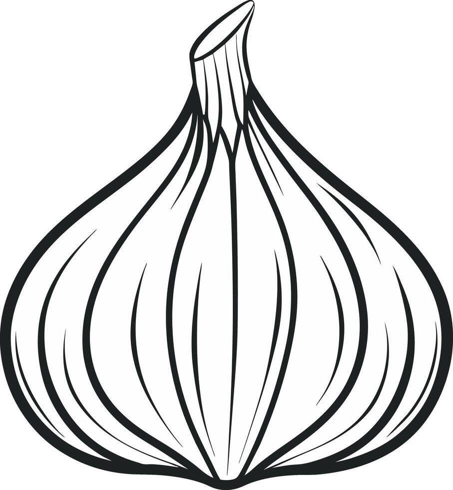 a garlic bulb is shown in a black and white drawing vector
