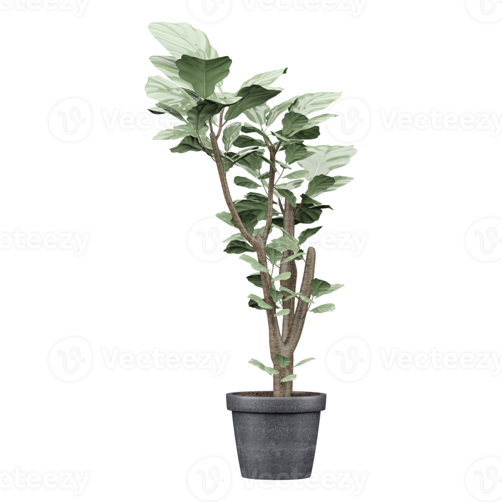 3d illustration of decoraction houseplant in pot isolated on transparent Canvas png