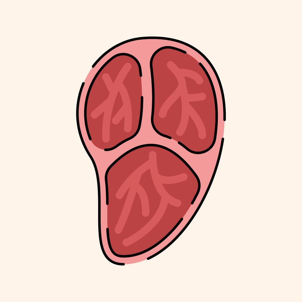 Red Meat Icon Illustration vector