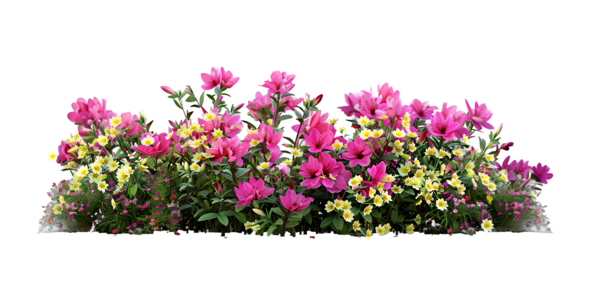 A group of pink and yellow flowers on a transparent background png