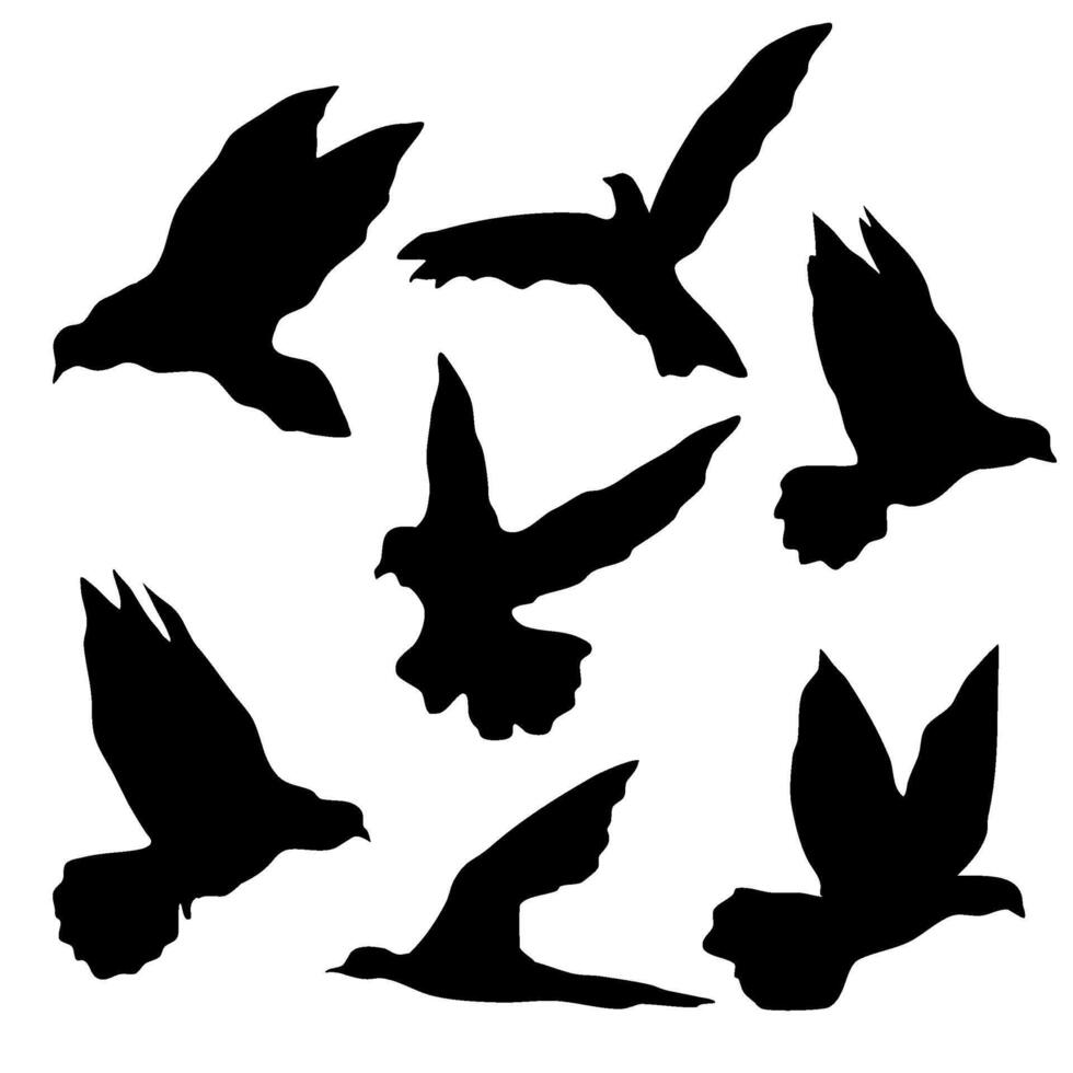 flying bird silhouette collection vector