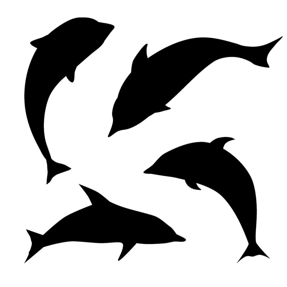 dolphin silhouette collection vector