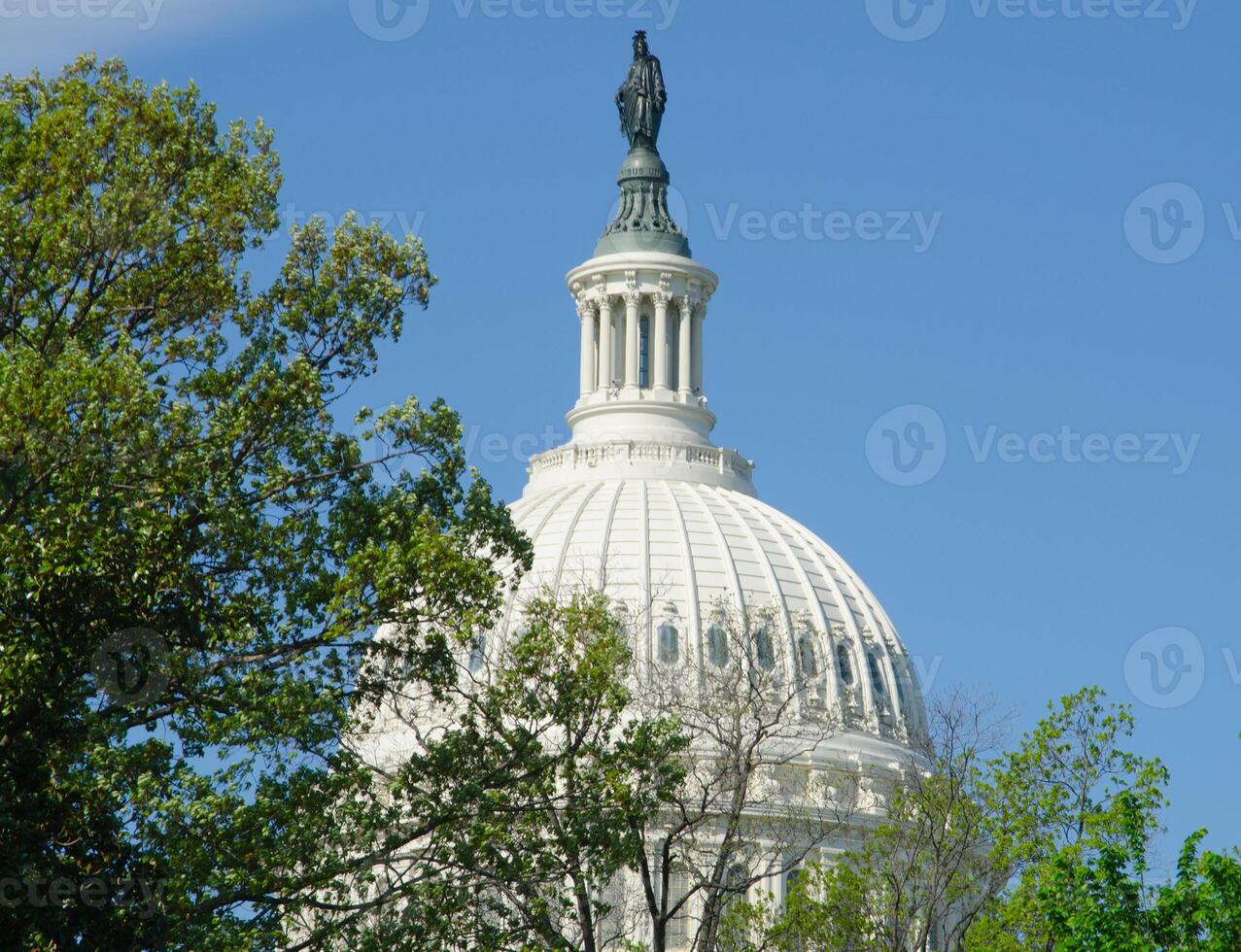 Dome of the US Capitol Building with trees in the foreground photo