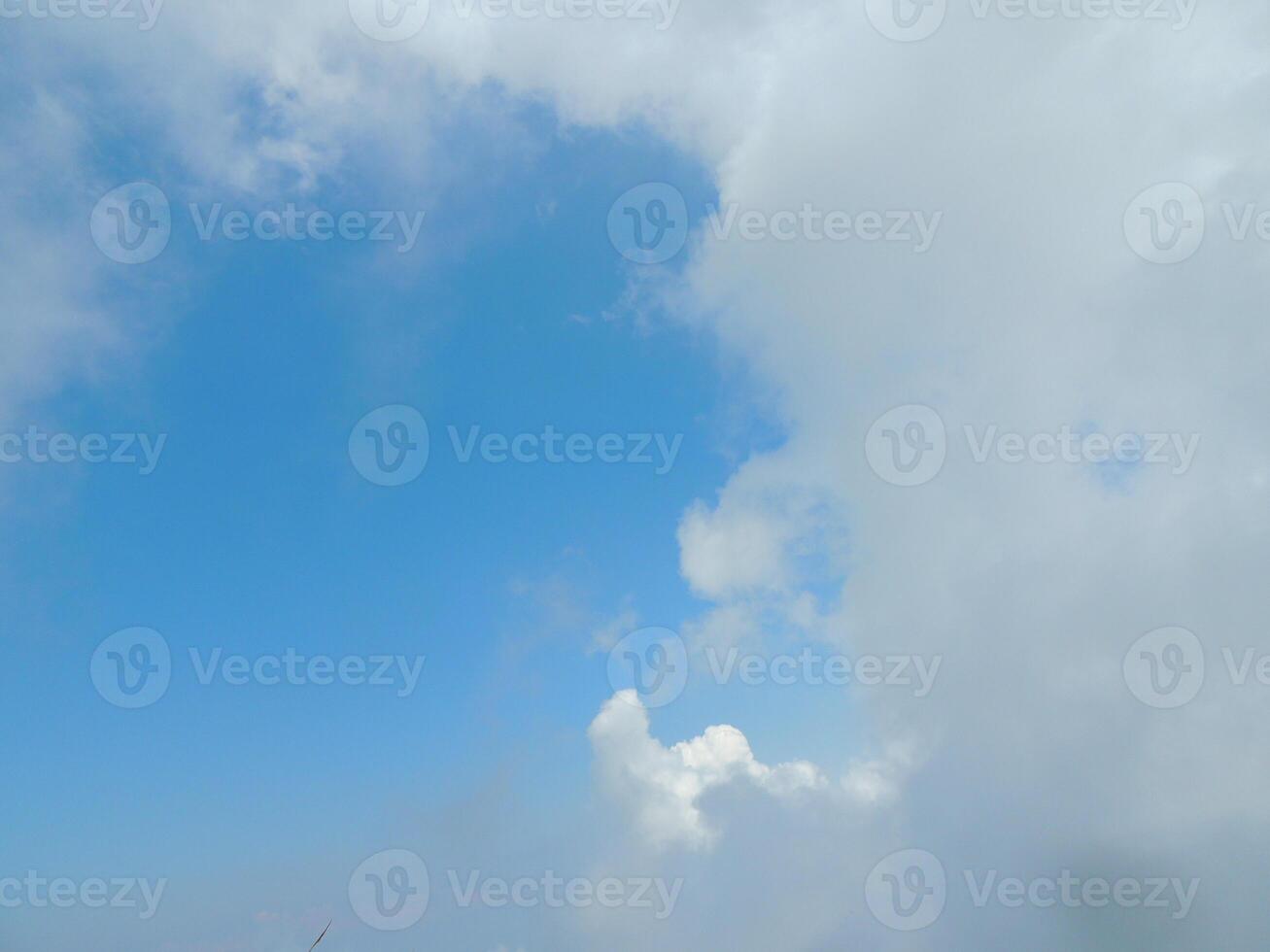 A person flying a kite in the sky photo