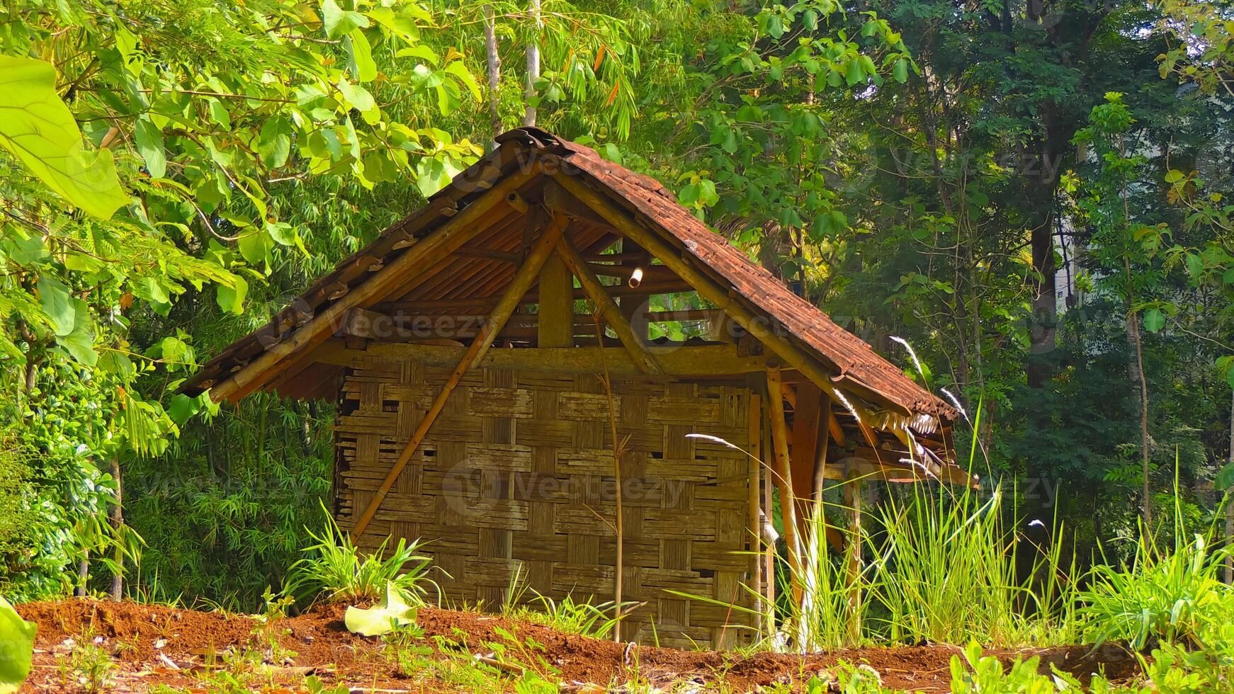 A small hut in the middle of a forest photo