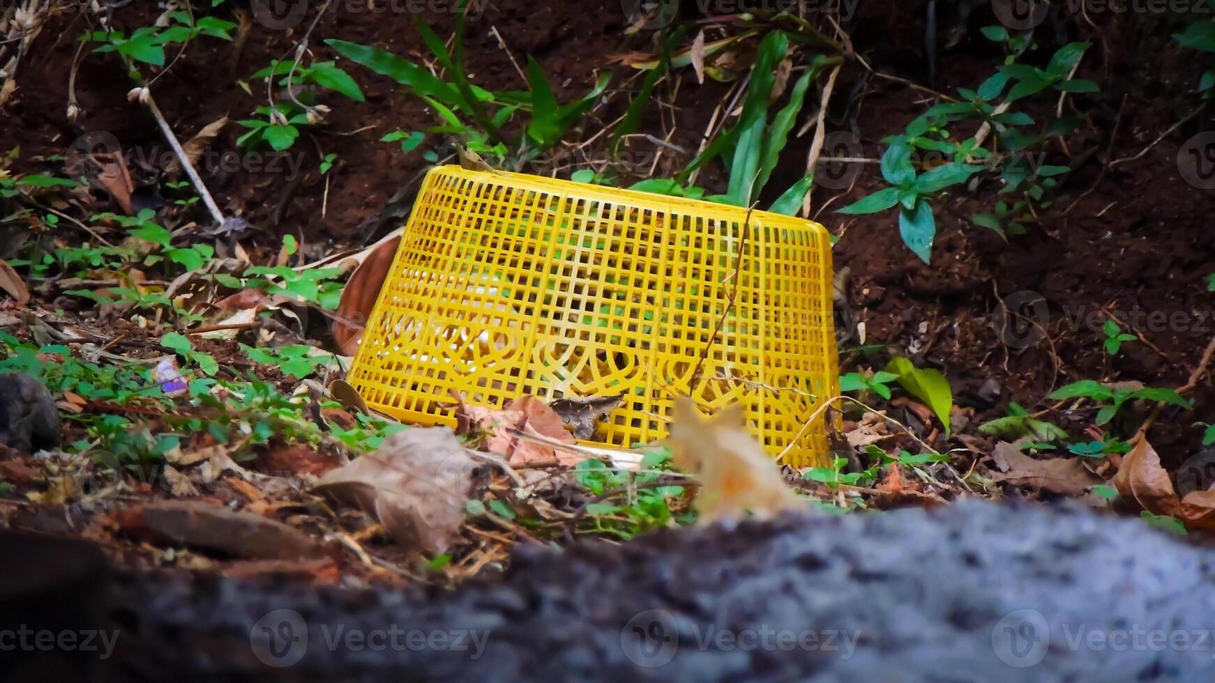 A yellow basket sitting on the ground in the woods photo