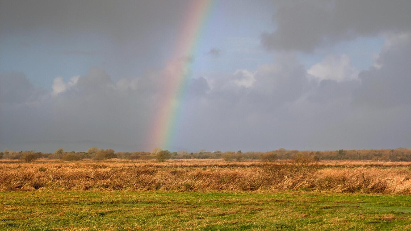 beautiful, landscape scenery with rainbow over Irish field at county Galway, Ireland, nature background photo