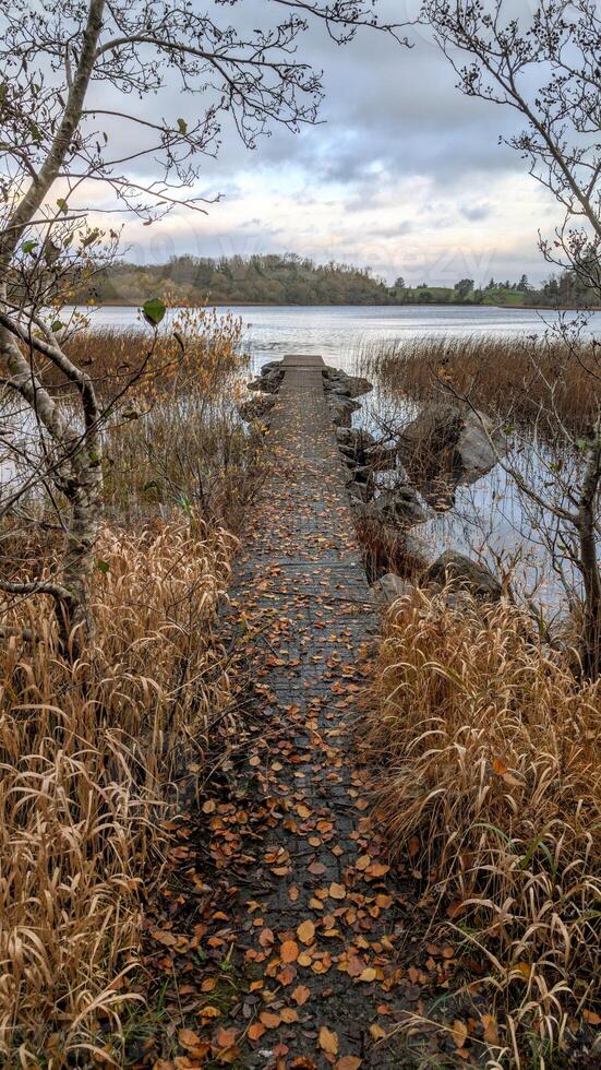 Beautiful autumn winter lakeside landscape scenery, fishing dock at Ross lake, county Galway, Ireland, nature background photo