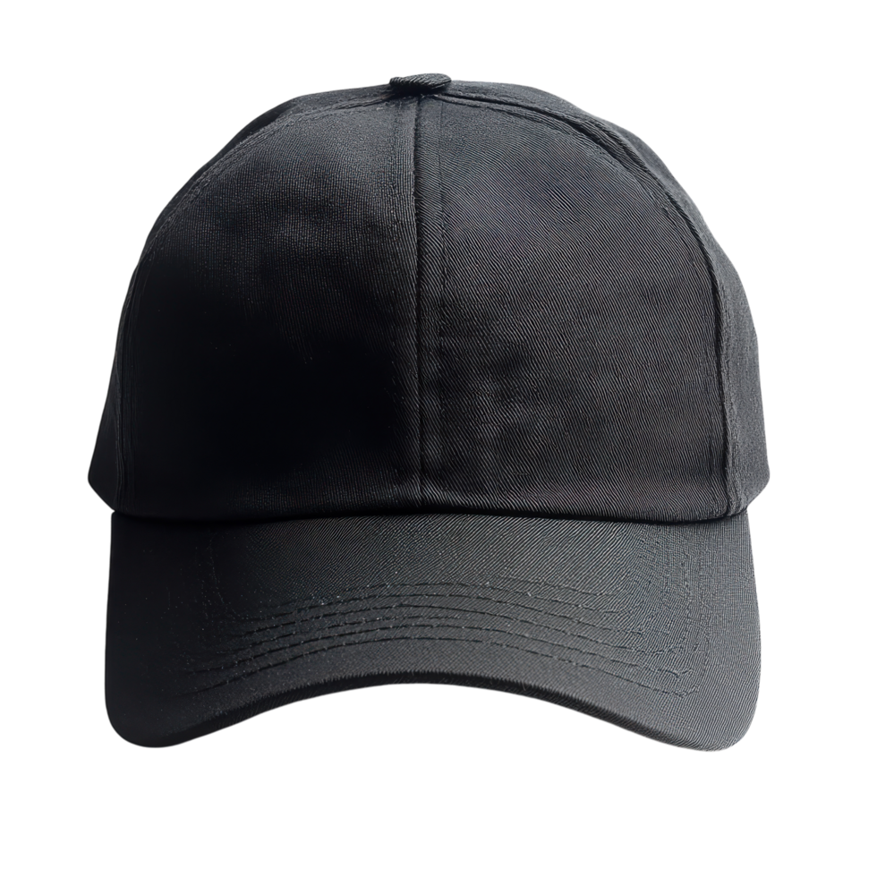 Black Cap Isolated on a Clean Background for Wildlife Themes on Transparent Background png