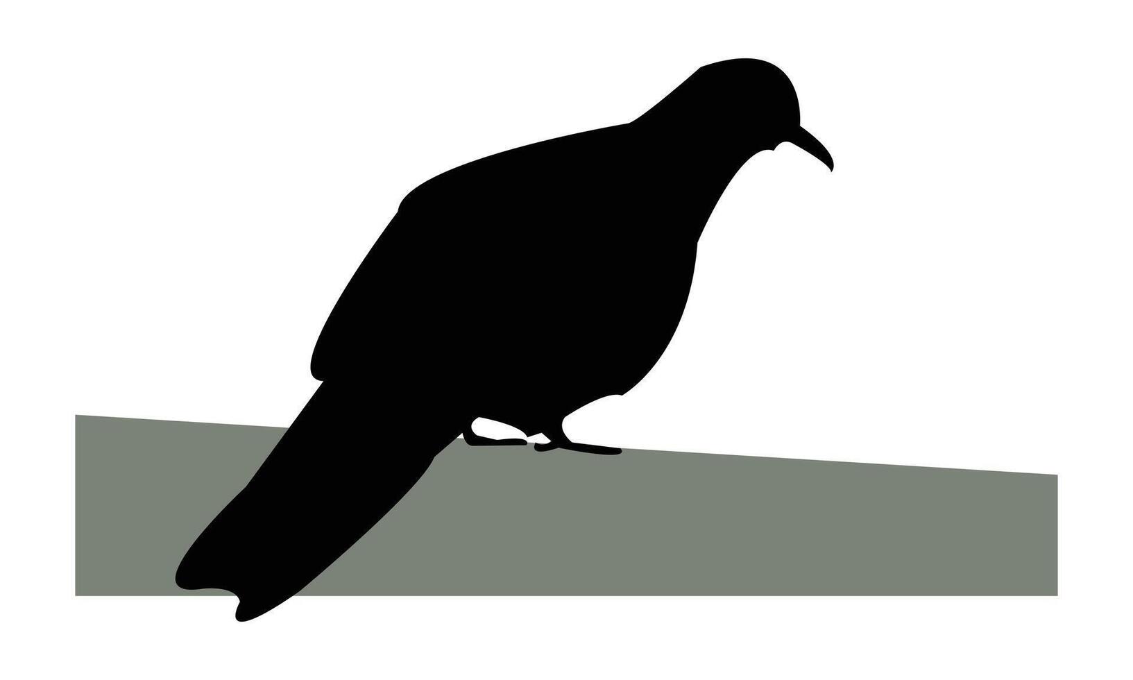 Spotted Dove Silhouette Design vector