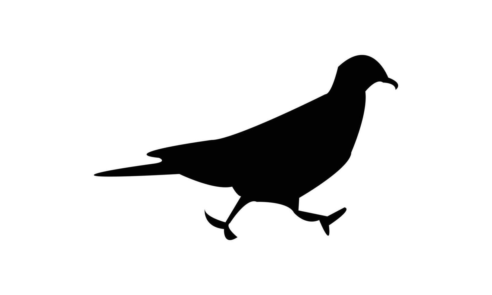 Ring Dove Silhouette vector