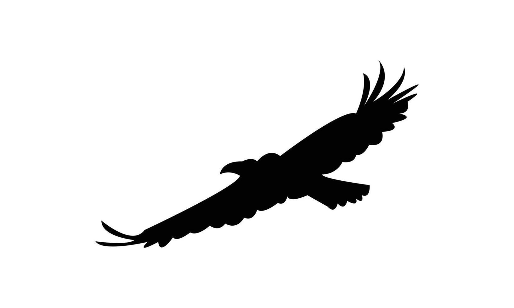Flying Eagle Bird Black Silhouette vector