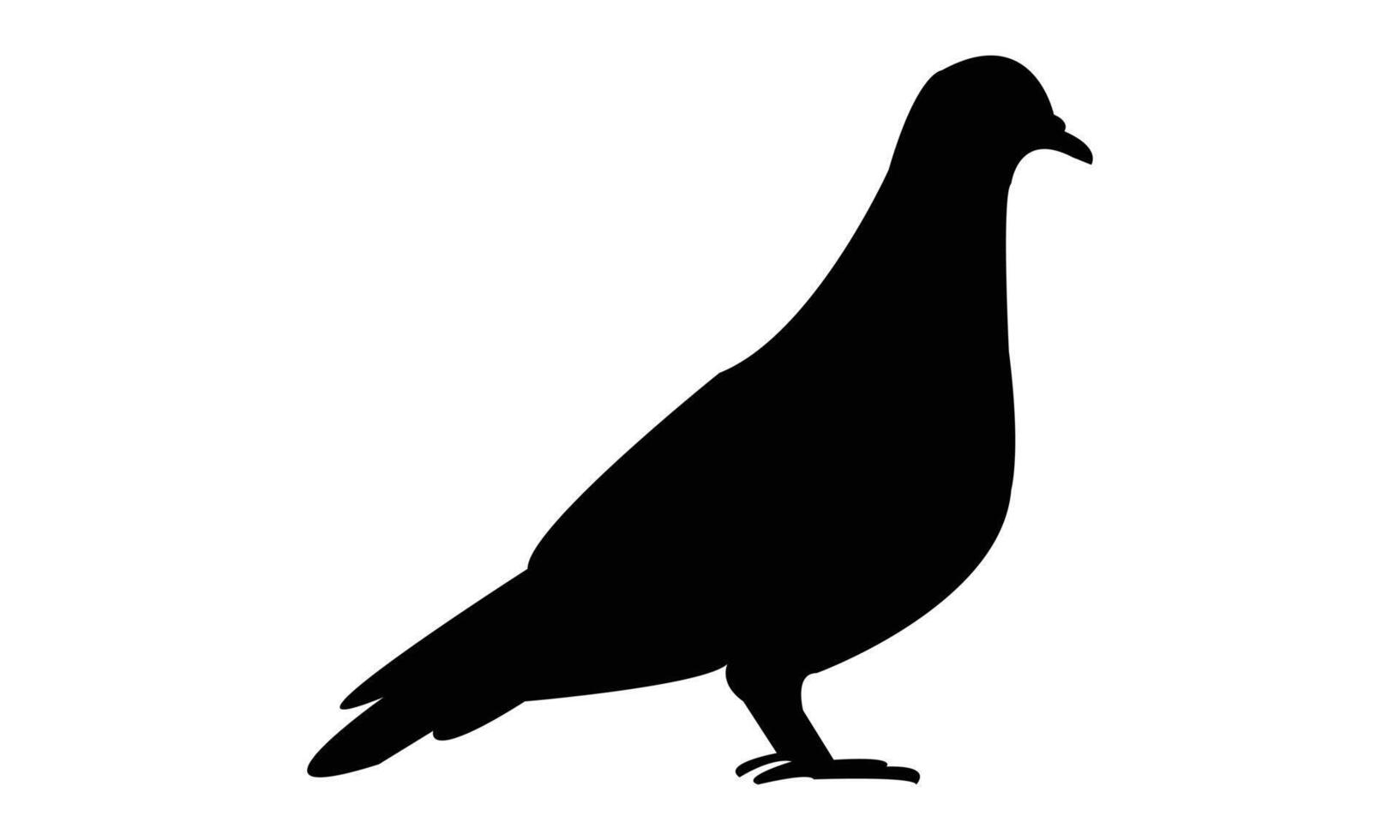 Sitting Pigeon Silhouette Design And Illustration. vector