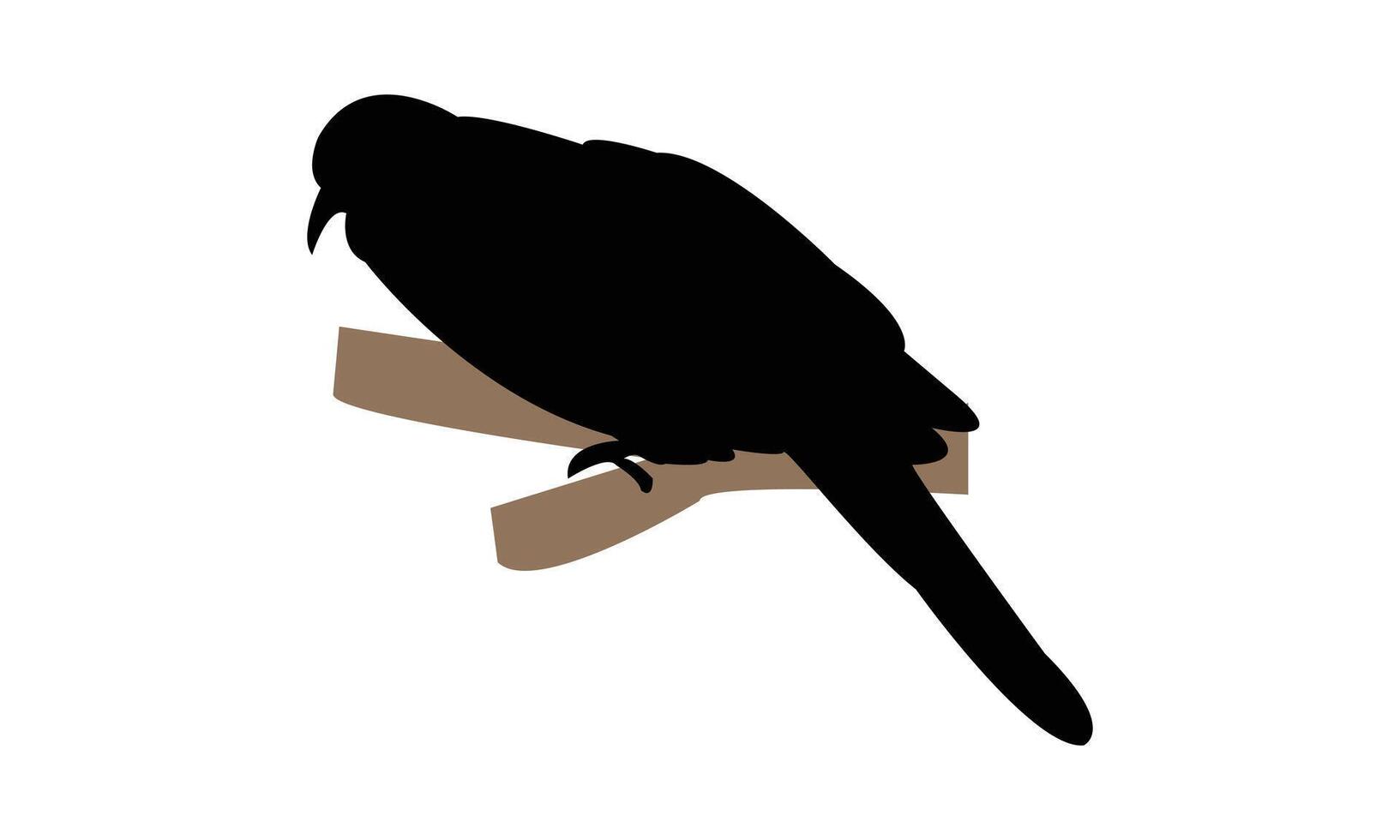 Spotted Dove Silhouette vector