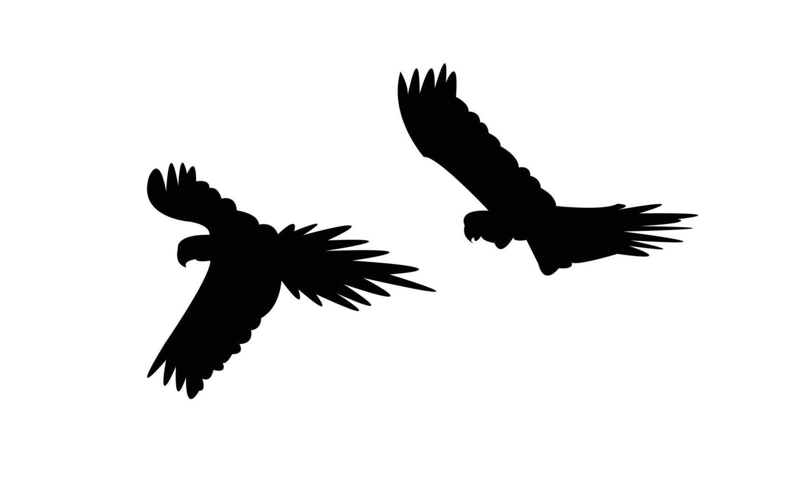 Two Flying Parrots Black Silhouette Design And Illustration. vector