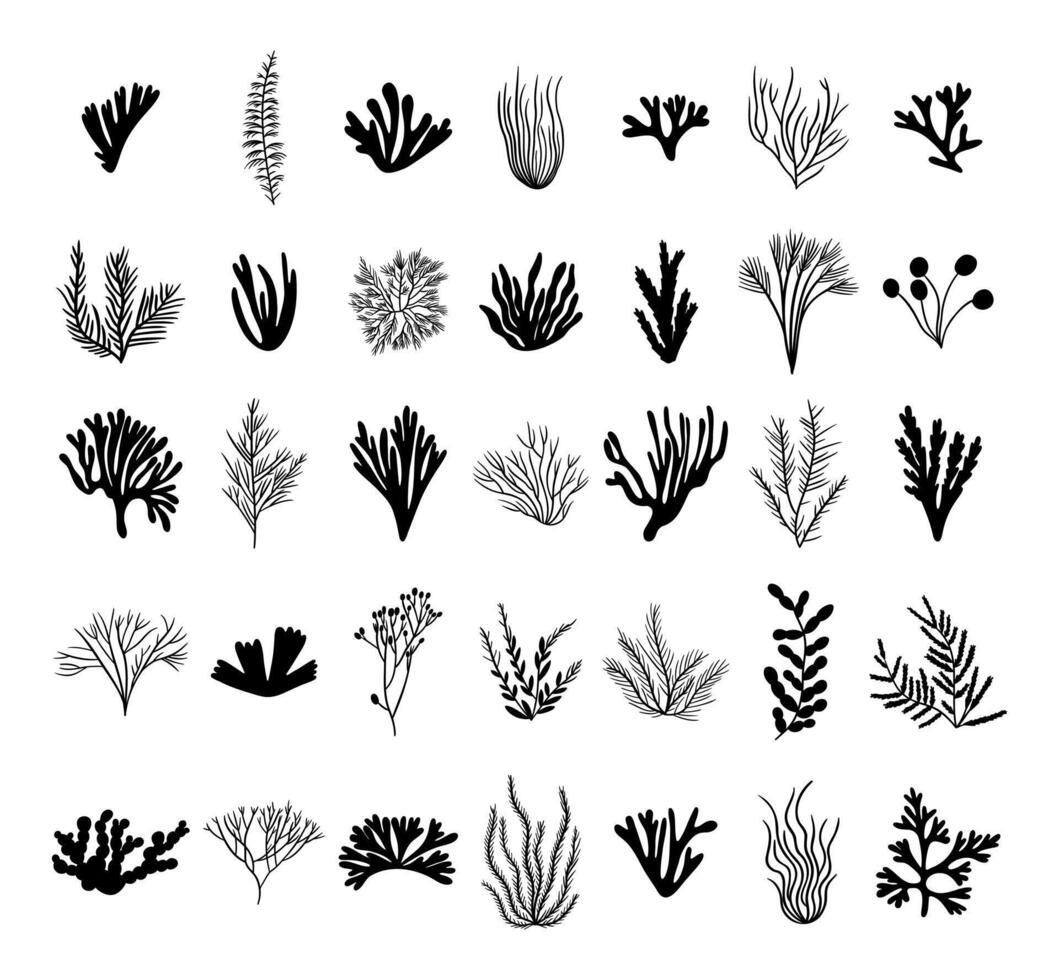 Set silhouette sea seaweed, algae, coral. Ocean plant elements. Hand drawn illustration vector