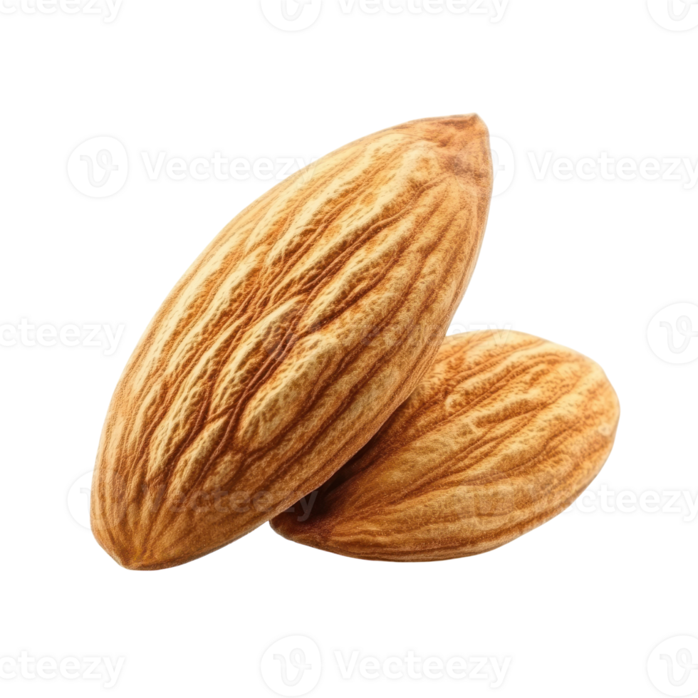 Dried Almond Isolated for Healthy Snacking and Culinary Uses on Transparent Background png