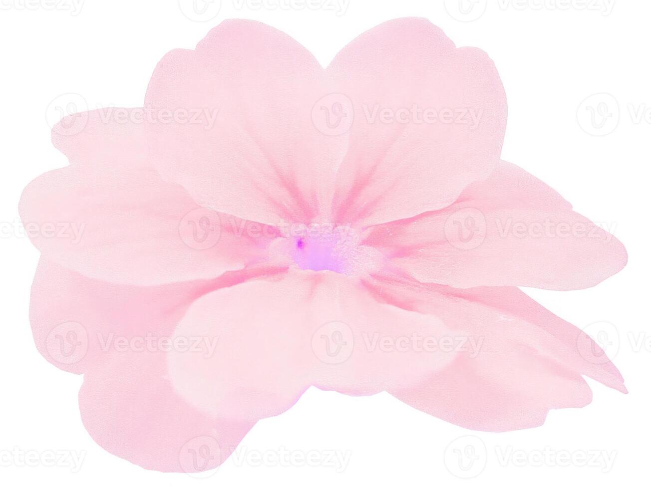 Flower shape isolated over solid background. Flower close view clipart template photo
