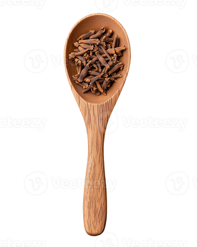 Wooden spoon filled with whole cloves spice on transparent background png
