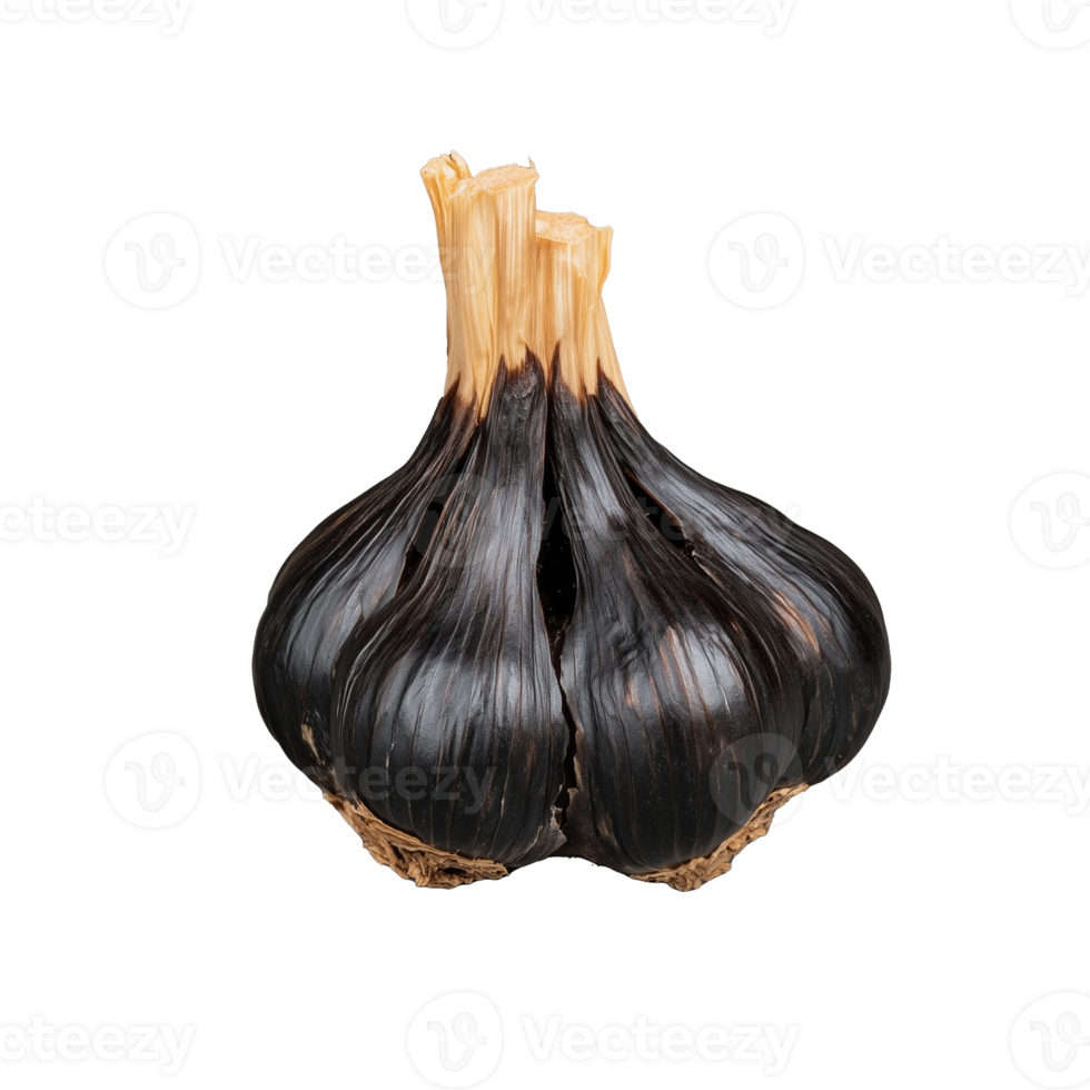 Black garlic bulb with unique texture and shape on transparent background png